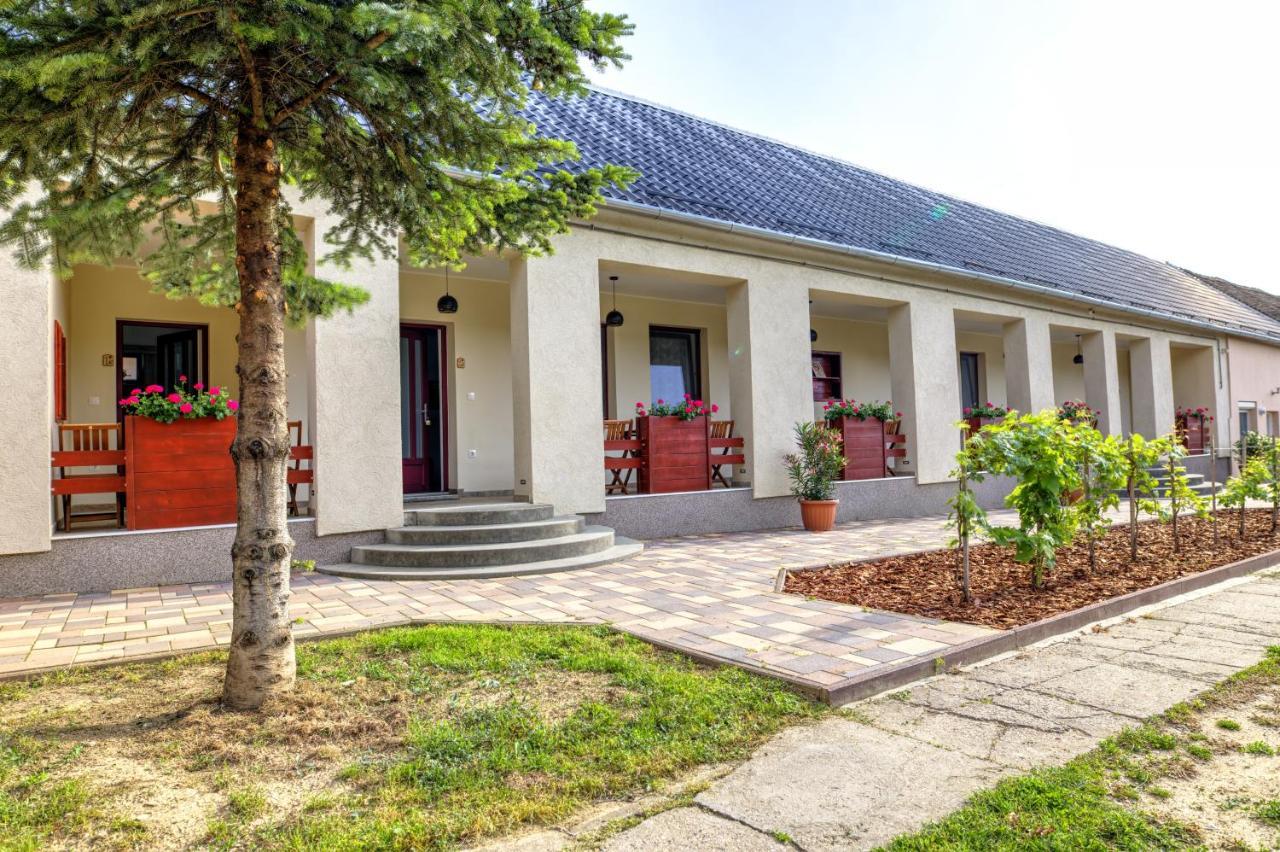 Adamko Borkert Haz Bed and Breakfast Villány Exteriör bild